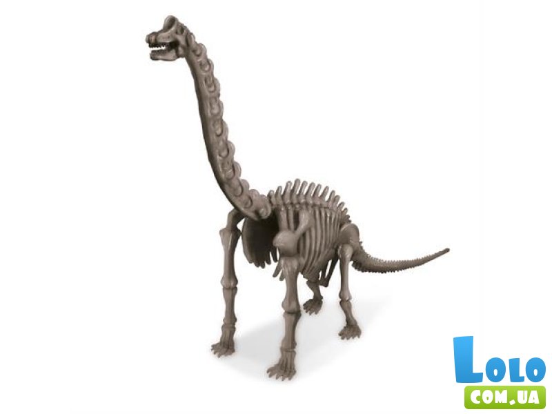 Набор для раскопок Скелет Брахиозавра, 4M