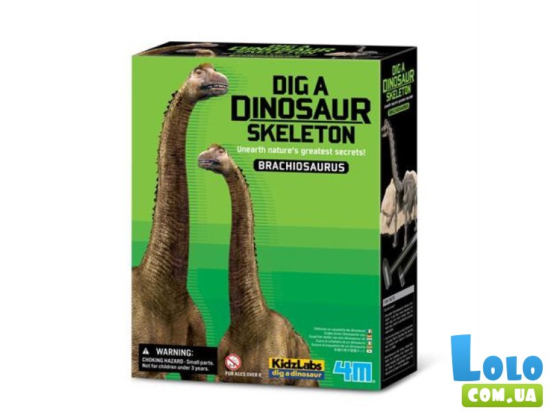 Набор для раскопок Скелет Брахиозавра, 4M