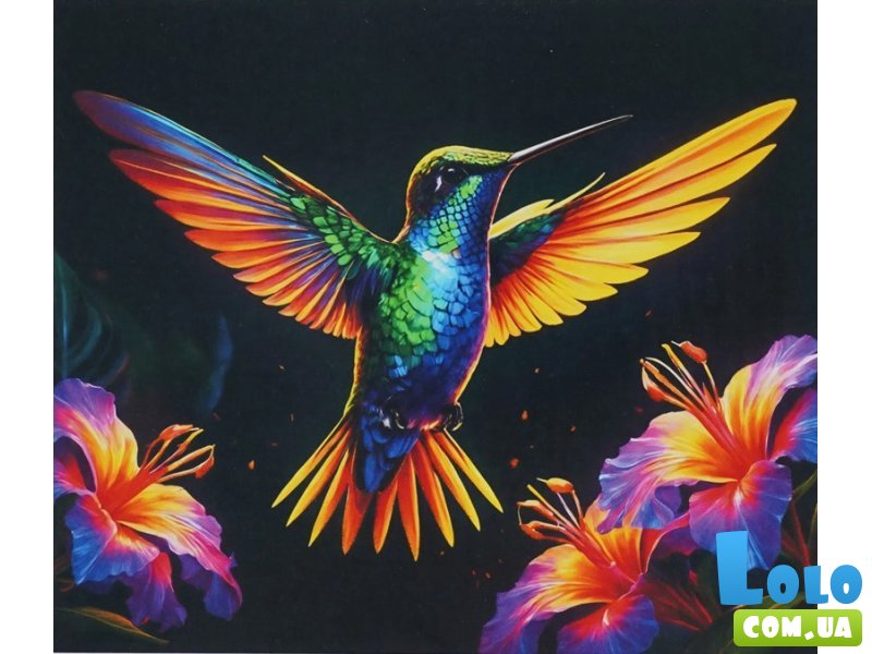Картина по номерам Колибри светится в темноте, WToys (40х50 см)