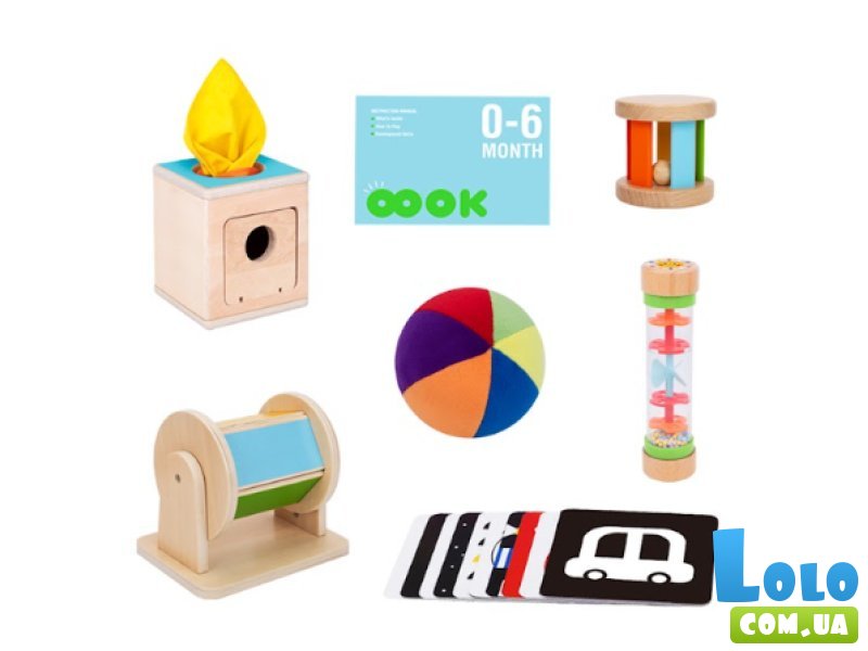 Развивающий бокс 6 в 1, Tooky Toy