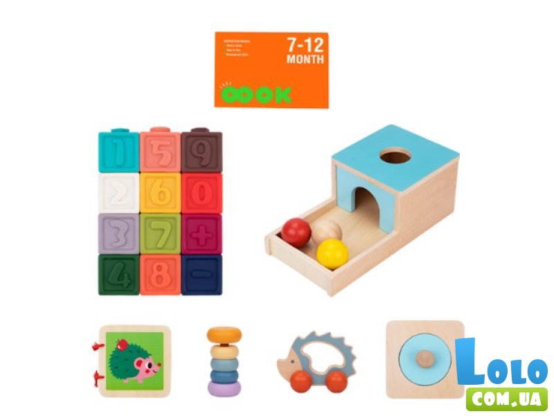 Развивающий бокс 6 в 1, Tooky Toy