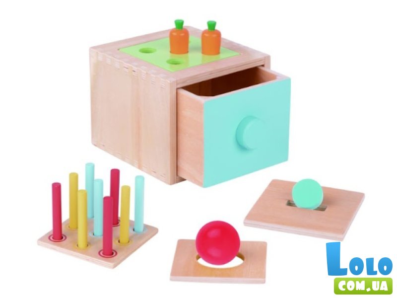 Развивающий бокс 6 в 1, Tooky Toy