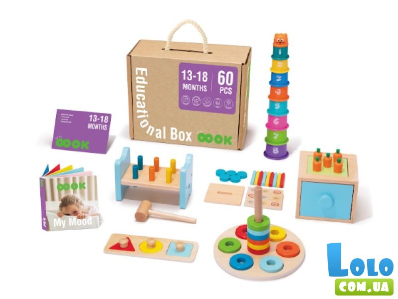 Развивающий бокс 6 в 1, Tooky Toy