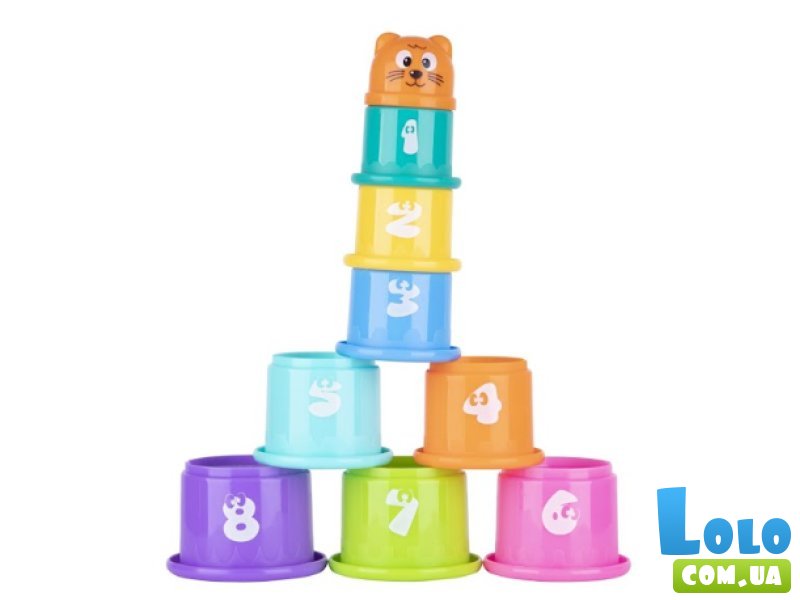 Развивающий бокс 6 в 1, Tooky Toy