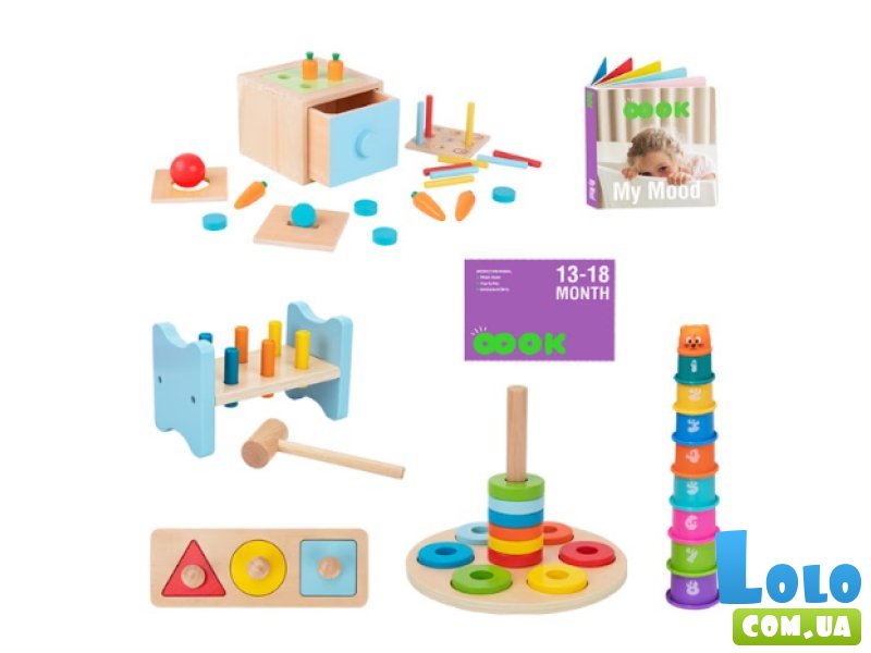 Развивающий бокс 6 в 1, Tooky Toy