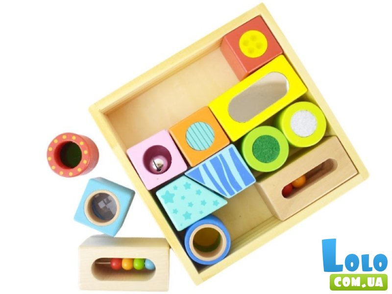 Развивающая игрушка Сенсорные блоки, Tooky Toy