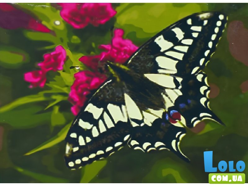 Алмазная мозаика Бабочка, TK Group (20х30 см)