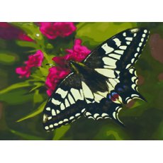 Алмазная мозаика Бабочка, TK Group (20х30 см)