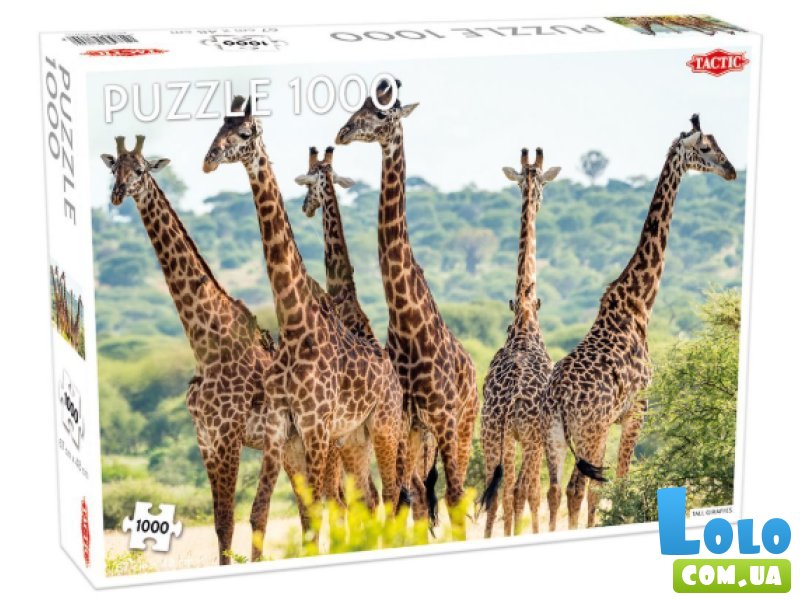 Пазл Высокие жирафы, Tactic, 1000 эл.