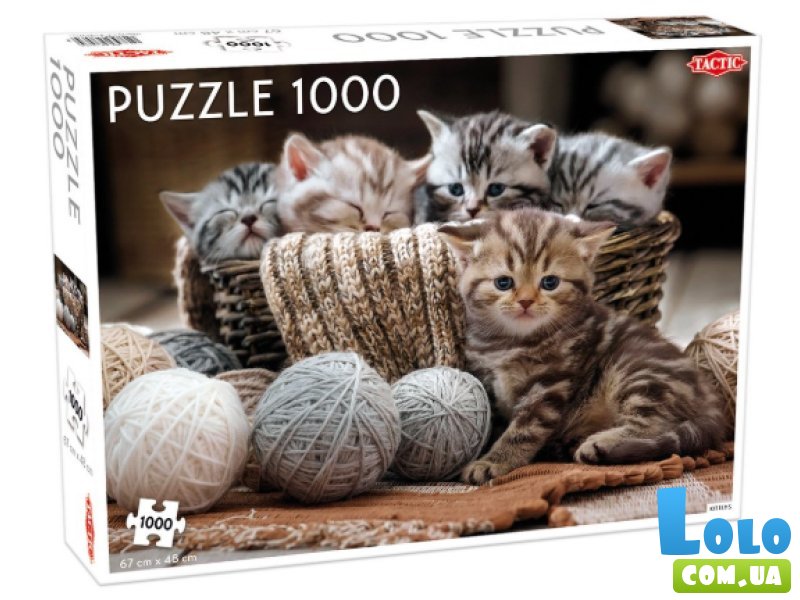 Пазл Милые котята, Tactic, 1000 эл.