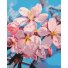 Картина по номерам Цвет сливы ©Anastasiia Osmolovska, Brushme (40х50 см)