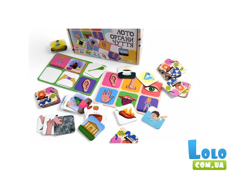 Развивающая настольная игра Лото органы чувств, Умняшка