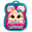 Набор для творчества с сюрпризами Bunny surprise. Темно-розовый, Vladi Toys