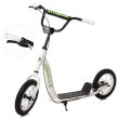 Самокат городской, iTrike (белый)