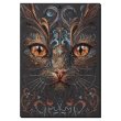 Набор для вышивки бисером Взгляд колдуньи, Abris Art
