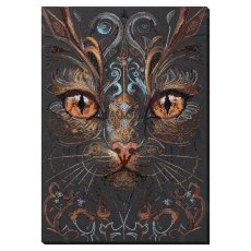 Набор для вышивки бисером Взгляд колдуньи, Abris Art