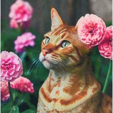 Алмазная мозаика Рыжий кот, Strateg (30х30 см)