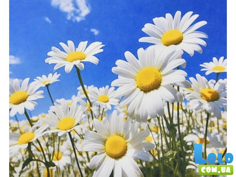 Алмазная мозаика Солнечные лепестки, Strateg (30х40 см)