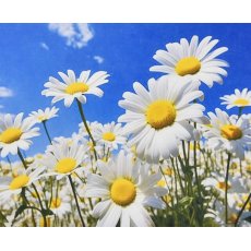 Алмазная мозаика Солнечные лепестки, Strateg (30х40 см)