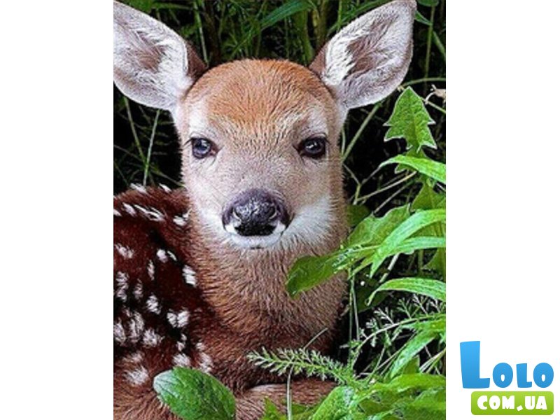 Алмазная мозаика Детеныш косули, Strateg (30х40 см)