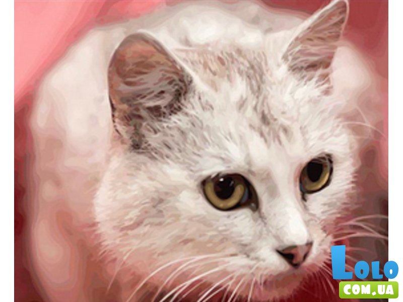 Алмазная мозаика Желтоглазый кот, Strateg (30х40 см)