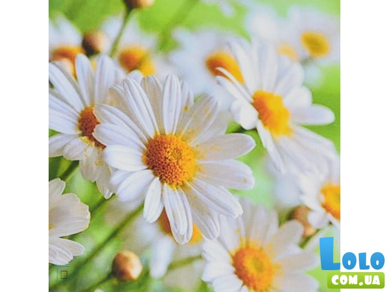 Алмазная мозаика Полевые воспоминания, Strateg (30х30 см)