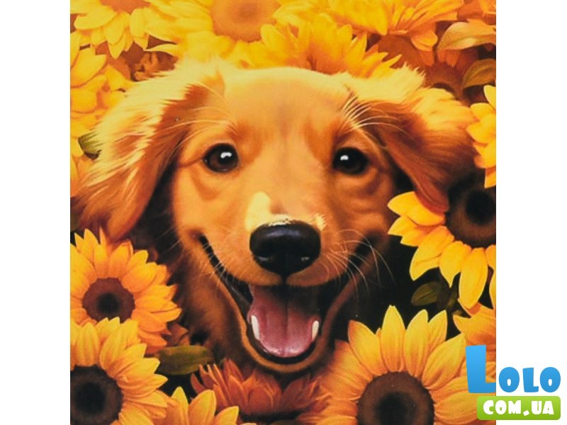 Алмазная мозаика Пес в подсолнухах, Strateg (30х30 см)