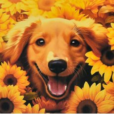 Алмазная мозаика Пес в подсолнухах, Strateg (30х30 см)