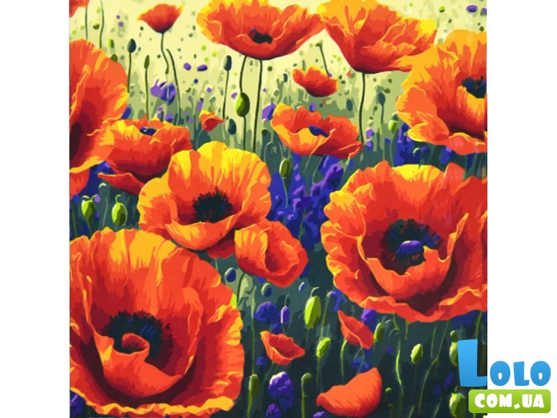 Картина по номерам Поле маков, Strateg (50х50 см)