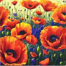 Картина по номерам Поле маков, Strateg (50х50 см)