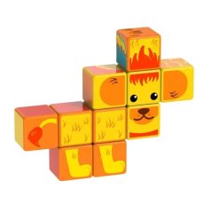 Магнитные кубики Сафари, Geomag