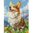 Алмазная мозаика Солнечный Корги, Brushme (30х40 см)