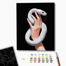 Картина по номерам Змеиная грация, Brushme (40х50 см)