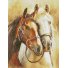 Алмазная мозаика Благородные лошади, Brushme (30х40 см)