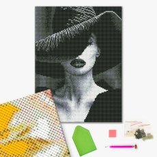 Алмазная мозаика Загадочная Дама, Brushme (30х40 см)