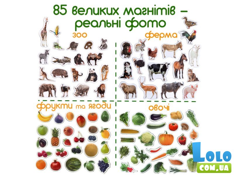 Набор магнитов Детский мир, Magdum