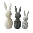 Набор декоративных кроликов, Skillenge