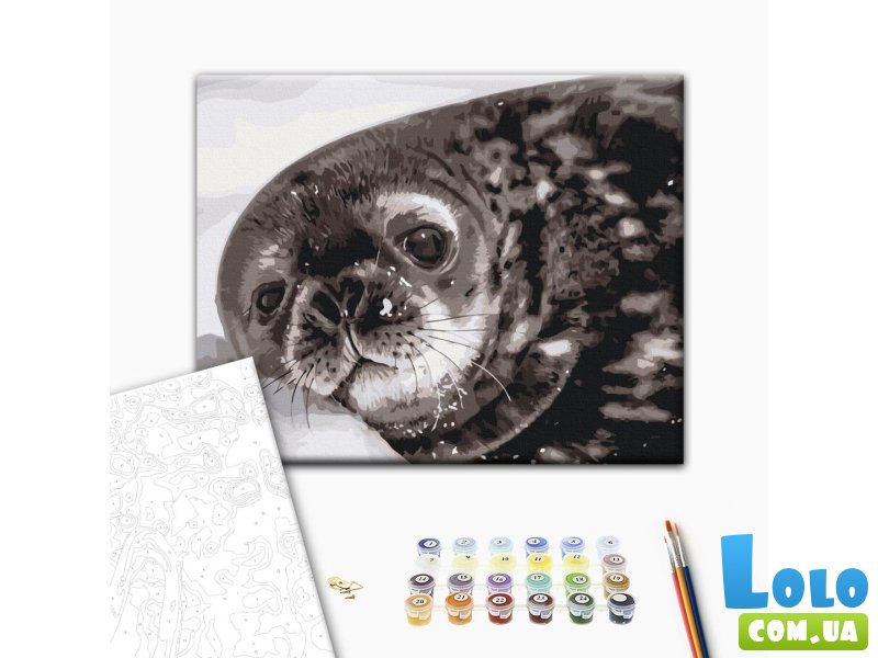 Картина по номерам Тюленёнок Ведделла ©Сергей Глотов, Brushme (40х50 см)