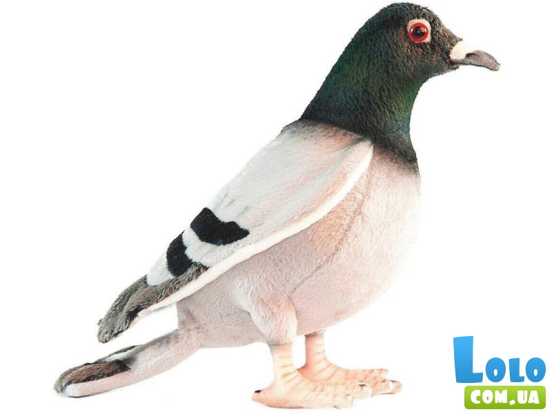 Мягкая игрушка Голубь, Hansa, 29 см