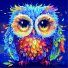 Алмазная мозаика Цветная сова, Brushme (25х25 см)