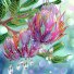 Алмазная мозаика Нежная протея, Brushme (25х25 см)