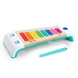 Музыкальная игрушка Magic Touch Ксилофон, Baby Einstein