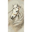 Картина по номерам Ветер свободы с металлизированными красками, Art Craft (40х80 см)