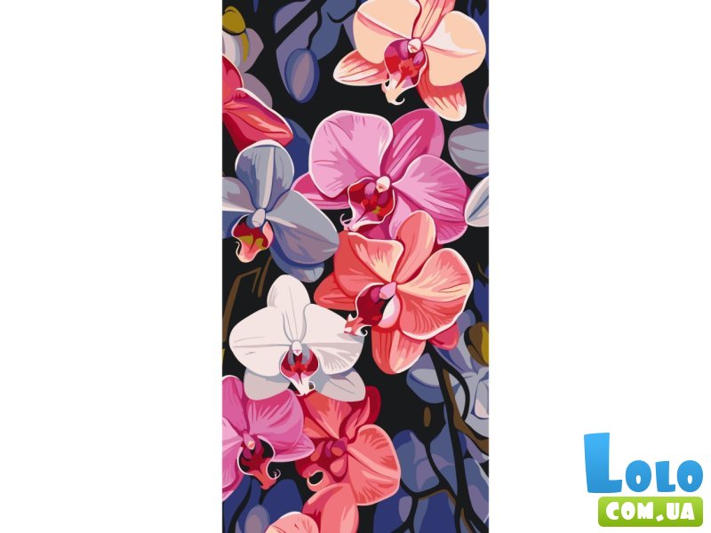 Картина по номерам Яркие орхидеи, Art Craft (40х80 см)