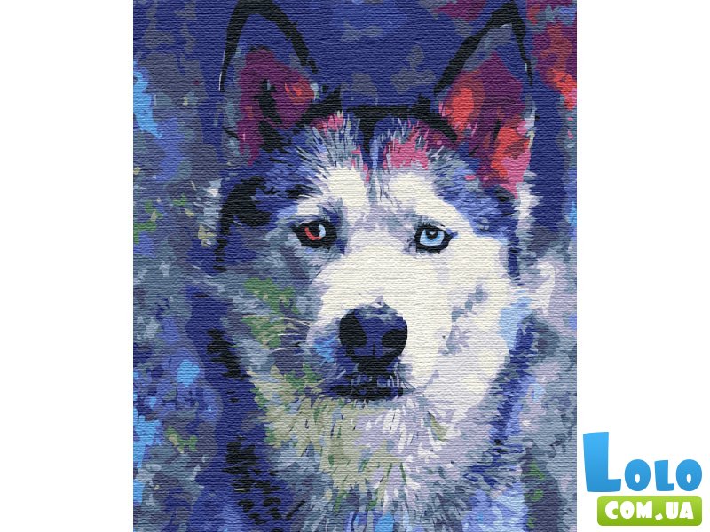 Картина по номерам Взгляд Хаски, Brushme (40х50 см)