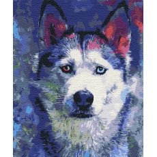 Картина по номерам Взгляд Хаски, Brushme (40х50 см)