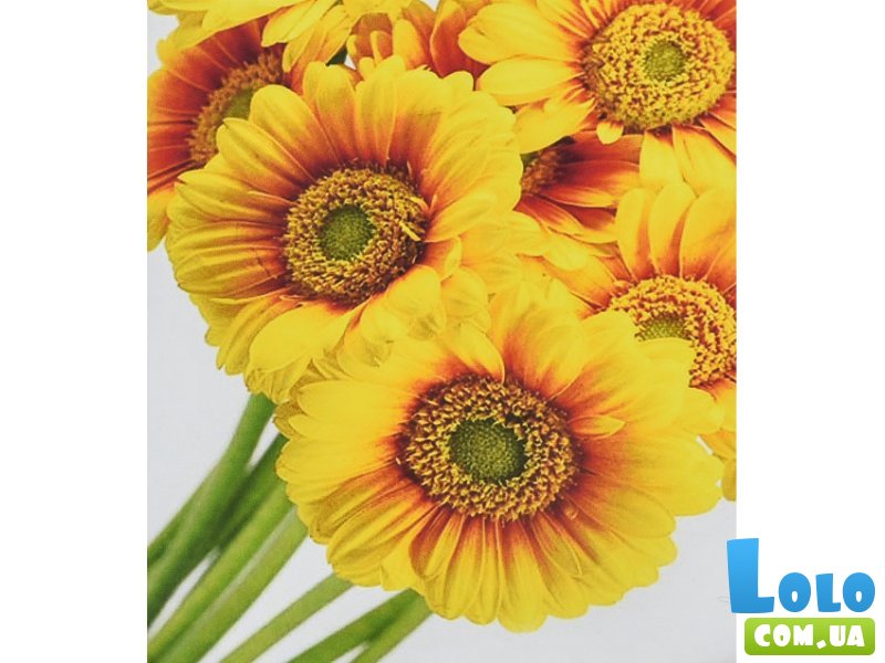 Алмазная мозаика Солнечные цветы, Strateg (30х40 см)