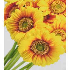 Алмазная мозаика Солнечные цветы, Strateg (30х40 см)