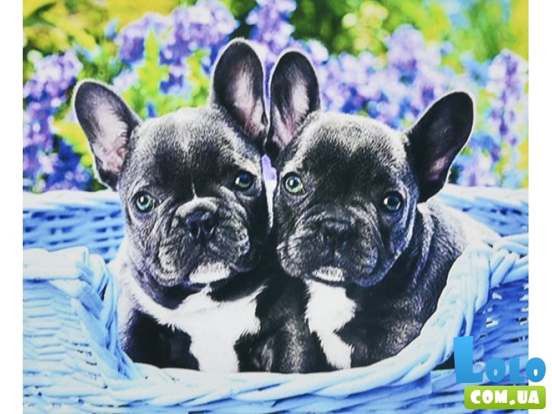 Алмазная мозаика Двое малышей, Strateg (30х40 см)