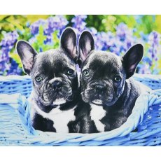 Алмазная мозаика Двое малышей, Strateg (30х40 см)